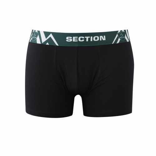 BOXER SECTION