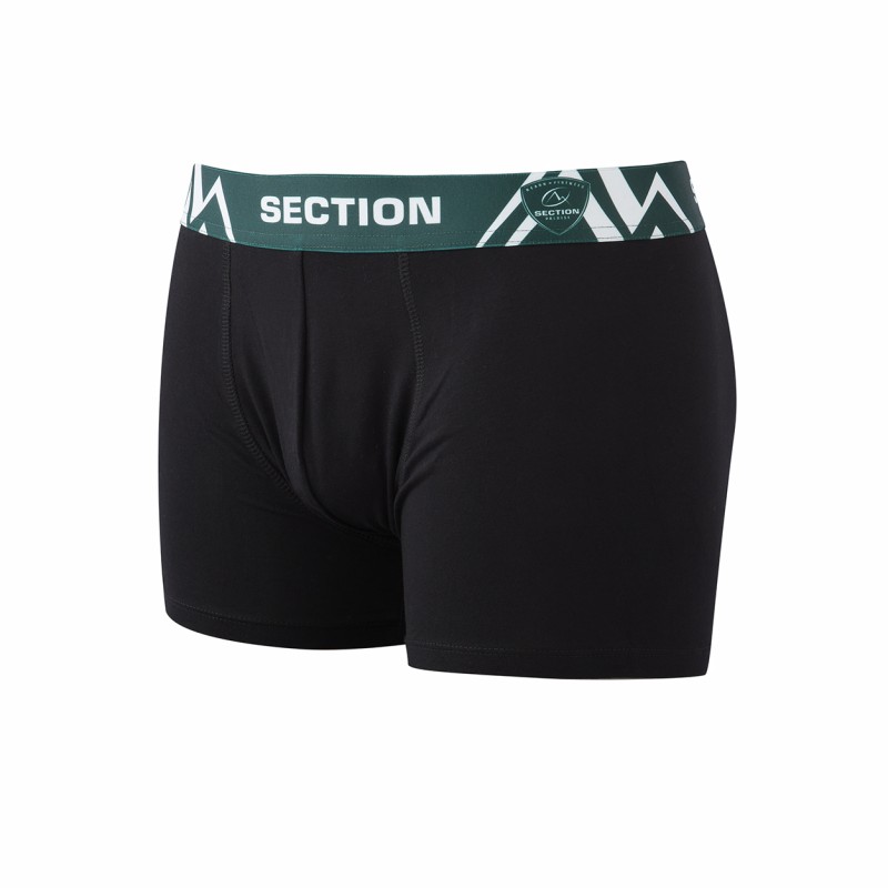 BOXER SECTION