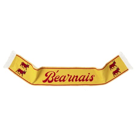 ECHARPE HD BEARNAIS