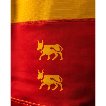 MAILLOT SUPERSEVENS TERRITOIRE - SECTION PALOISE