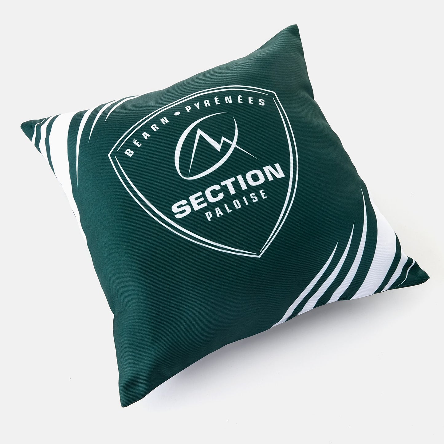 Coussin Supporter 2023/2024