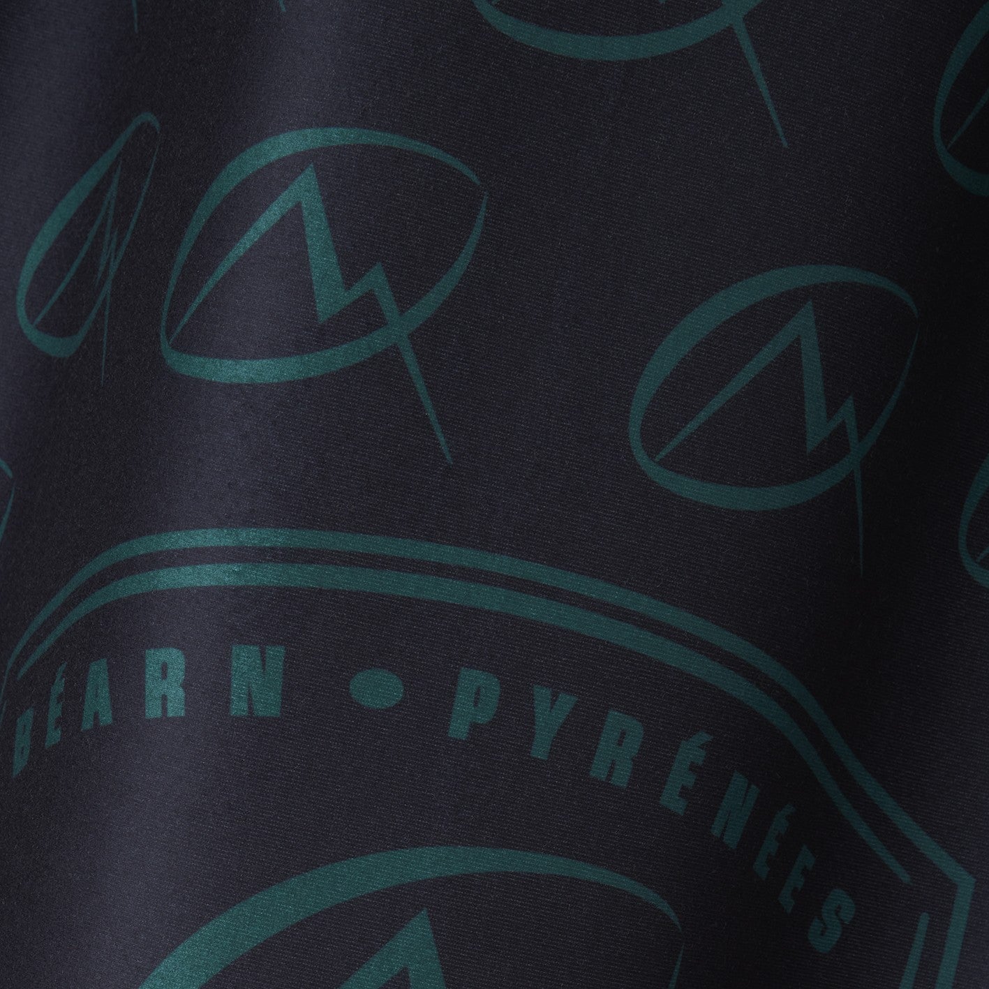 PLAID 2023/2024 DE LA SECTION PALOISE