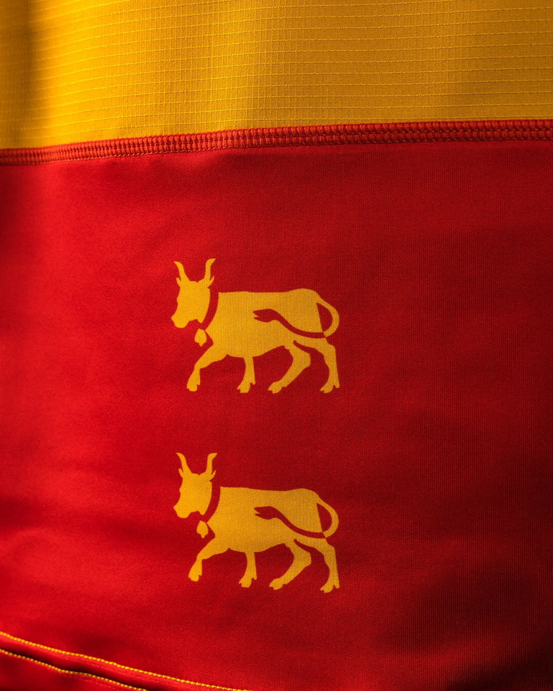 MAILLOT SUPERSEVENS TERRITOIRE - SECTION PALOISE