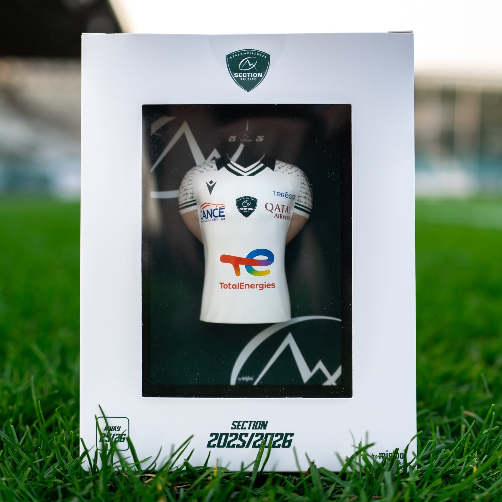 Mini Tableau 3D Maillot Extérieur Section Paloise 2025/2026 - Migloo ...