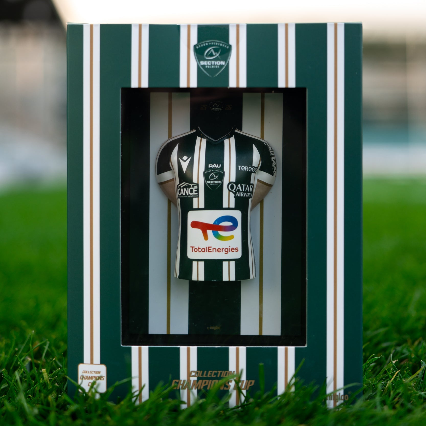 Mini Tableau 3D Maillot Champions Cup Section Paloise 2025/2026 ...