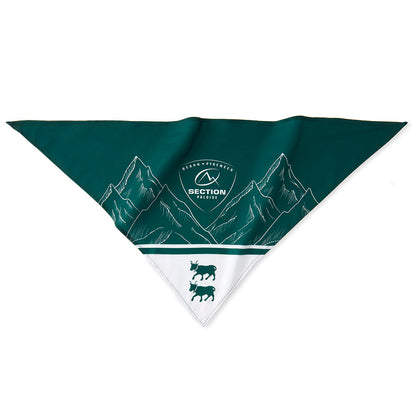 BANDANA MONTAGNE 25/26